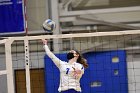 Volleyball vs RWU  Wheaton Women’s Volleyball vs Roger Williams University. : Volleyball, VB